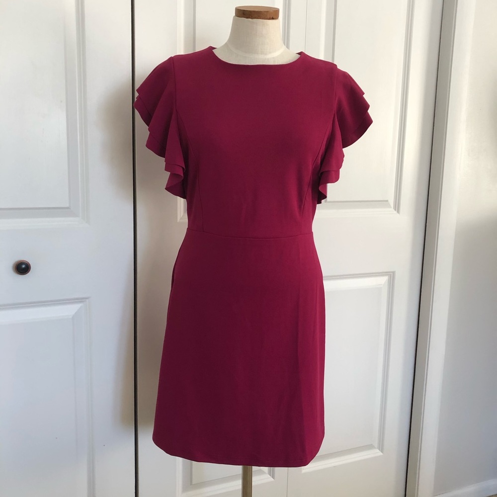 Ruffled sleeve dress